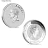 1 oz Australian Silver Wombat Perth Mint BU (Random Year)