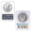 MILKY - 1 oz Burnished Silver American Eagle NGC/PCGS MS/SP 70 (Random Year)