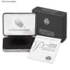 NO COIN - 2020-W 1 oz Burnished Palladium American Eagle (OEM Box & COA)