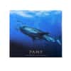 2021 1 oz Colorized Silver Whale Shark Solomon Islands $2 Coin .9999 Fine (w/Box & COA)