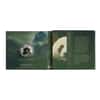 2022 1 oz Silver Giant Panda - Gentle Giants Solomon Islands $2 Coin .9999 Fine (w/Box & COA)