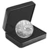2022 Canada 5 oz Proof Silver The Bigger Picture - The Beaver 5C Coin .9999 Fine (w/Box & COA)