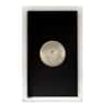 1882 CC Morgan Silver Dollar $1 BU GSA Rainbow Toned (w/Box)