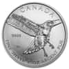 2015 1 oz Silver Canadian Red-Tailed Hawk - Birds of Prey Series BU