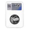 2020-W 1 oz Proof Platinum American Eagle Happiness NGC PF 70