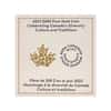 2022 Canada 1 oz Gold Culture and Traditions Canada's Diversity Coin .9999 Fine (w/Box & COA)