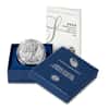 2020-W 1 oz Burnished Silver American Eagle (w/Box & COA)