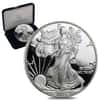 2013-W 1 oz Proof Silver American Eagle (w/Box & COA)