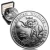 2016 Somalia 1 oz Silver African Elephant Berlin WMF Privy Mark Prooflike (W/Box & COA) 
