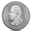2024 1 oz Platinum Canadian Maple Leaf $50 Coin BU (in Assay)