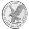 2025-W Laser Engraved Privy 1 oz Proof Silver American Eagle PCGS PF 69 FS