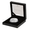2023 UK 2 oz Harry Potter Dumbledore Proof Silver Coin