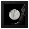 2024 Cook Islands 2 oz Silver Reconstruction Elephant Coin