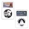 2019 China 30 gram Silver Panda 3-Coin Set NGC MS 70
