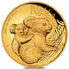 2023 1 oz Proof Gold Australian Koala High Relief Coin Perth Mint