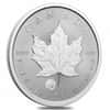 2024 Canada 1 oz Treasured Silver Maple Leaf Polar Bear Privy Coin First Strikes