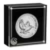 2024 5 oz Incused Silver Australian Kookaburra Perth Mint