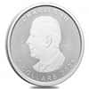 2024 Canada 1 oz Treasured Silver Maple Leaf Polar Bear Privy Coin First Strikes