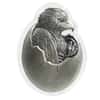 2024 Chad 2 oz Silver Baby American Eagle High Relief Coin .999 Fine