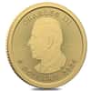 2024 Canada 1/10 oz Treasured Gold Maple Leaf Polar Bear Privy Coin First Strikes