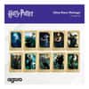 2024 Niue Harry Potter™ Mint Trading Coins Mystery Sealed Set