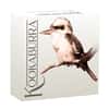 2023 5 oz Incused Silver Australian Kookaburra Perth Mint
