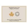 2024 Canada 4.6 oz Allegory of Freedom 3D Silver Coin