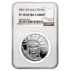 2001 W 1 oz $100 Platinum American Eagle Proof Coin NGC PF 70 UCAM