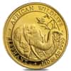 1/10 oz Somalia African Elephant Gold Coin BU/Proof (Random Year)  