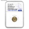 2021 1/10 oz Gold American Eagle Type 2 NGC MS 69 ER Mint Error (Rev Struck Thru)