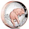 2022 5 oz Proof High Relief Gilded Silver Australian Koala Perth Mint .9999 Fine (w/Box & COA)