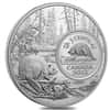 2022 Canada 5 oz Proof Silver The Bigger Picture - The Beaver 5C Coin .9999 Fine (w/Box & COA)