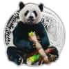 2022 1 oz Silver Giant Panda - Gentle Giants Solomon Islands $2 Coin .9999 Fine (w/Box & COA)