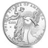 2015 W 1 oz Platinum American Eagle Proof Coin (w/Box & COA)