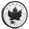 2015 1 oz Silver Canadian Maple Leaf E=mc2 Privy Reverse Proof PCGS SP 69