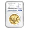 2017 1 oz Gold American Buffalo NGC MS 69 Early Releases (Blue Label)
