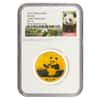2017 15 Gram Chinese Gold Panda 200 Yuan NGC MS 70 Early Releases