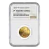 2010 W 1/4 oz $10 Proof Gold American Eagle NGC PF 70 UCAM