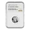 2005 W 1/4 oz $25 Platinum American Eagle Proof Coin NGC PF 70 UCAM