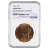 1876 $20 Liberty Head Double Eagle Gold Coin NGC AU Details