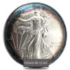 1 oz Silver American Eagle BU Dramatic Toning (Random Year)