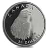 1996 1/10 oz $30 Canada Proof Platinum Peregrine Falcon Coin
