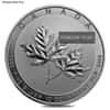 10 oz Silver Coin Random Mint .999+ Fine BU/Proof
