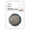 1891 Morgan Silver Dollar $1 NGC XF 45 (Toned)