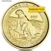 1/10 oz Canadian Polar Bear Gold Coin BU (Random Year)