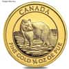 1/4 oz Canadian Arctic Fox Gold Coin BU (Random Year)