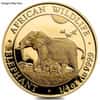 1/4 oz Somalia African Elephant Gold Coin BU/Proof (Random Year)