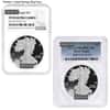 1 oz Proof Silver American Eagle NGC/PCGS PF 69 (Random Year)