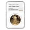 2004 W 1 oz $50 Proof Gold American Eagle NGC PF 70 UCAM