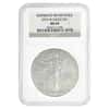 2015-W 1 oz Burnished Silver American Eagle NGC MS 69